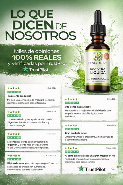 Clorofila Líquida Detox Natural